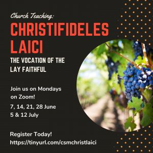 Christifideles Laici