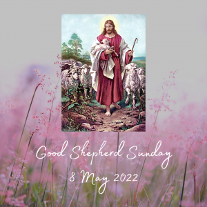 Good Shepherd Sunday