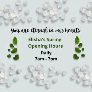 Elisha's Spring Opening Hours (1)