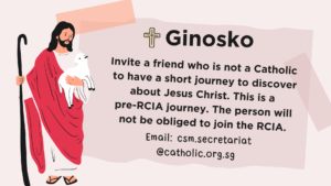 Ginosko Discover Jesus