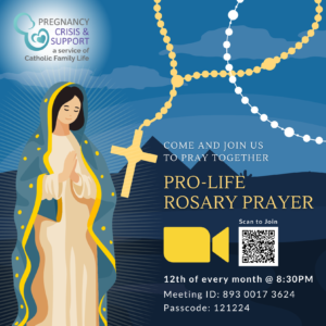 OLG Prolife Rosary