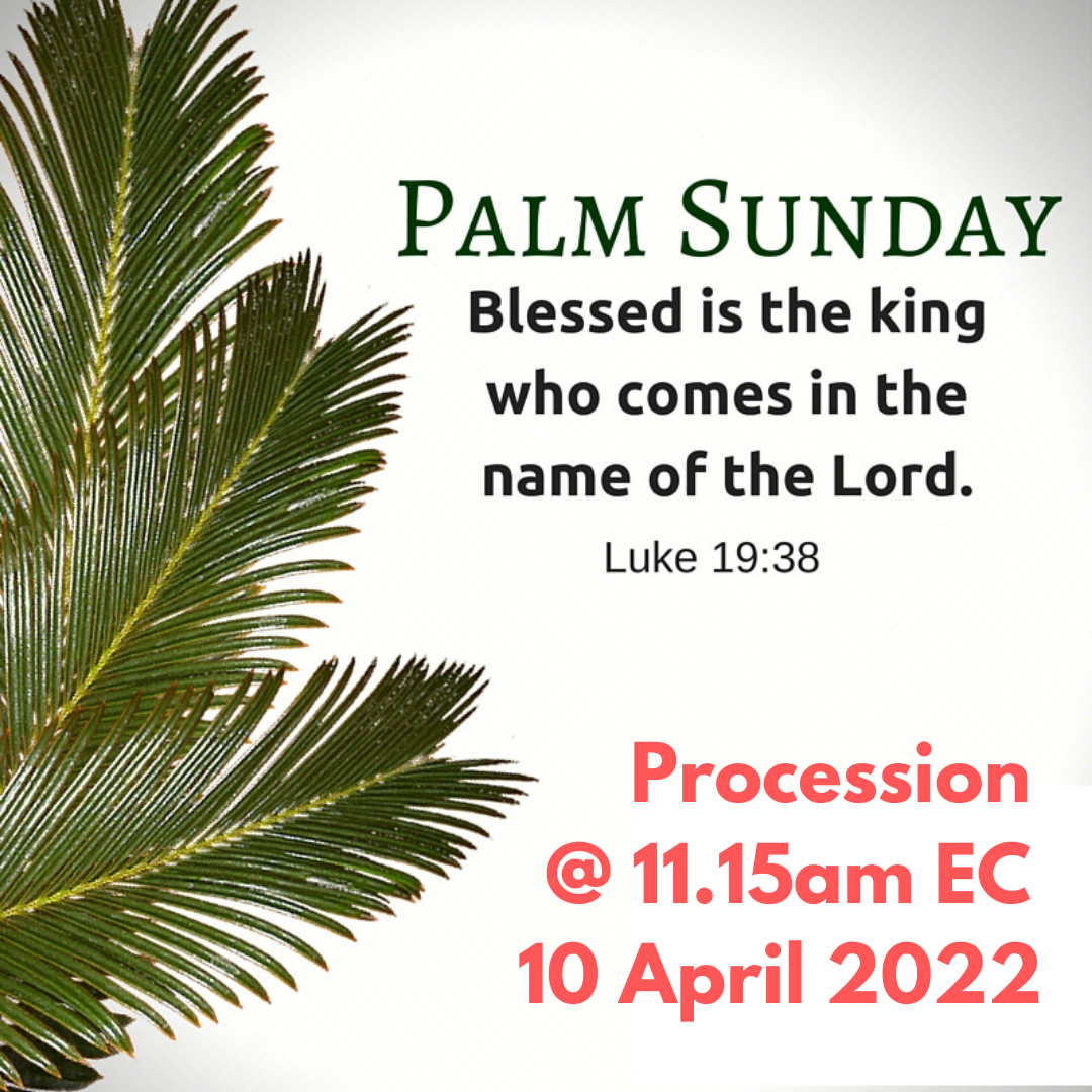 Palm Sunday 2022 update