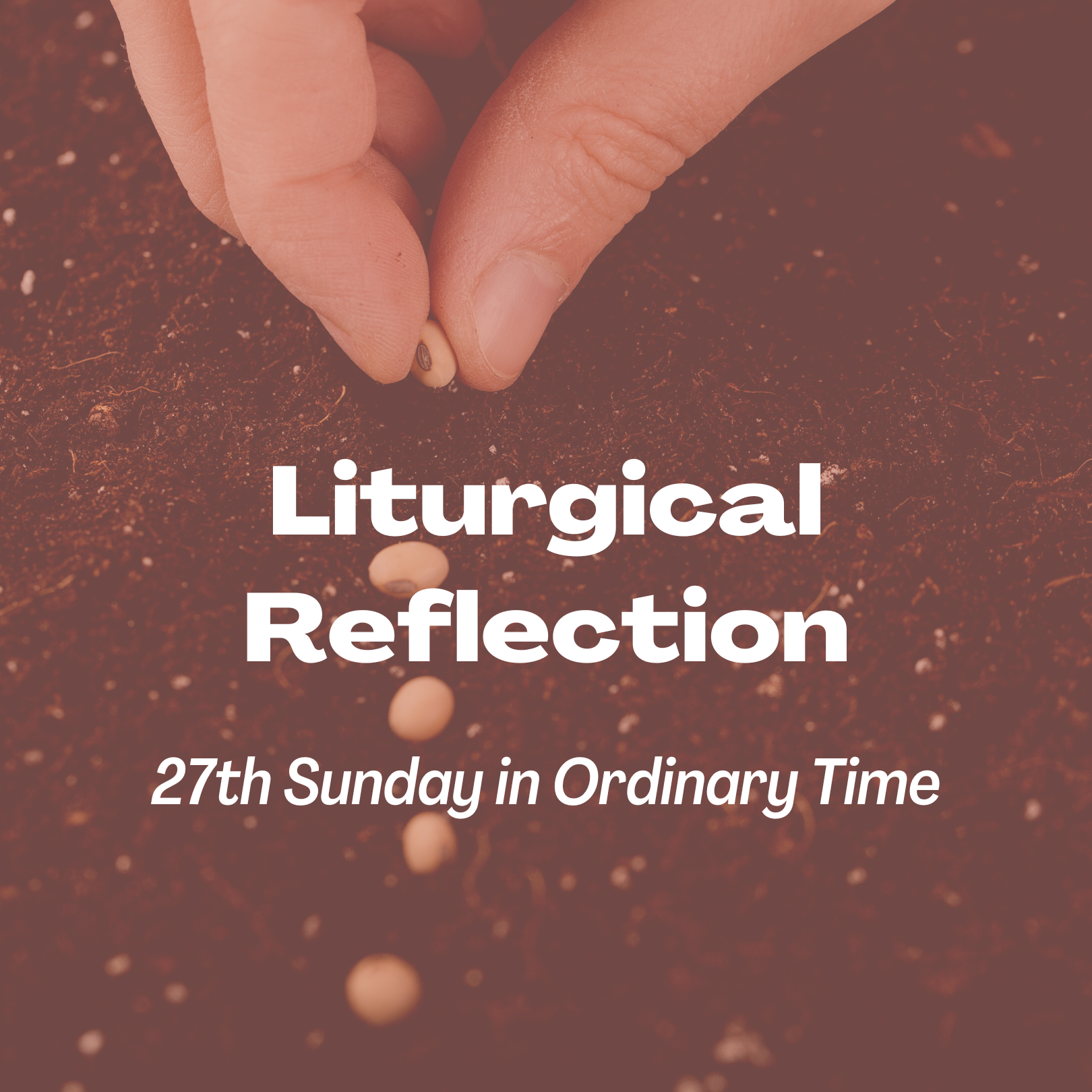 Liturgical Reflection for 27th Sunday in Ordinary Time in Year C