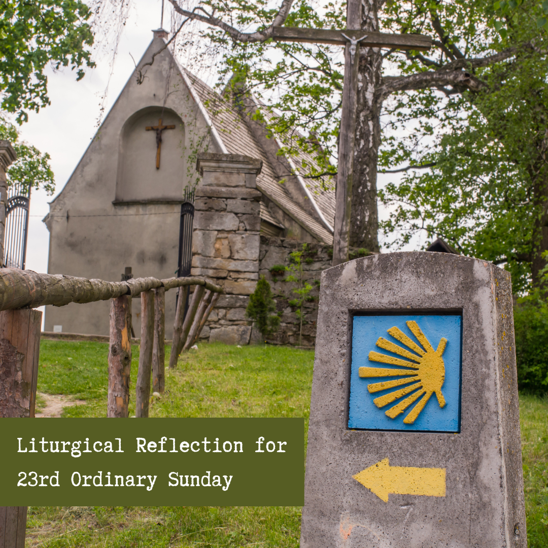 Liturgical Reflection for 23rd Sunday in Ordinary Time