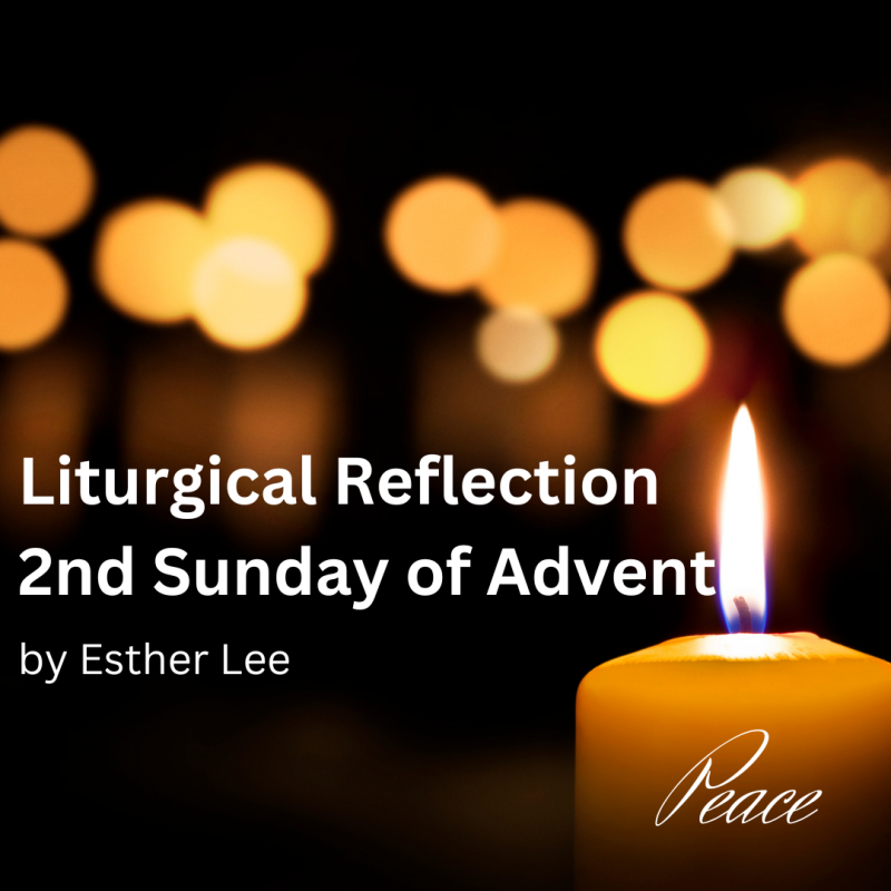 Liturgical Reflection for 2nd Sunday of Advent Church of Saint