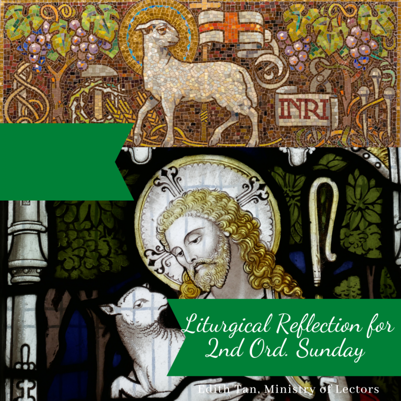 Liturgical Reflection for 2nd Sunday in Ordinary Time Church of Saint Michael Roman Catholic
