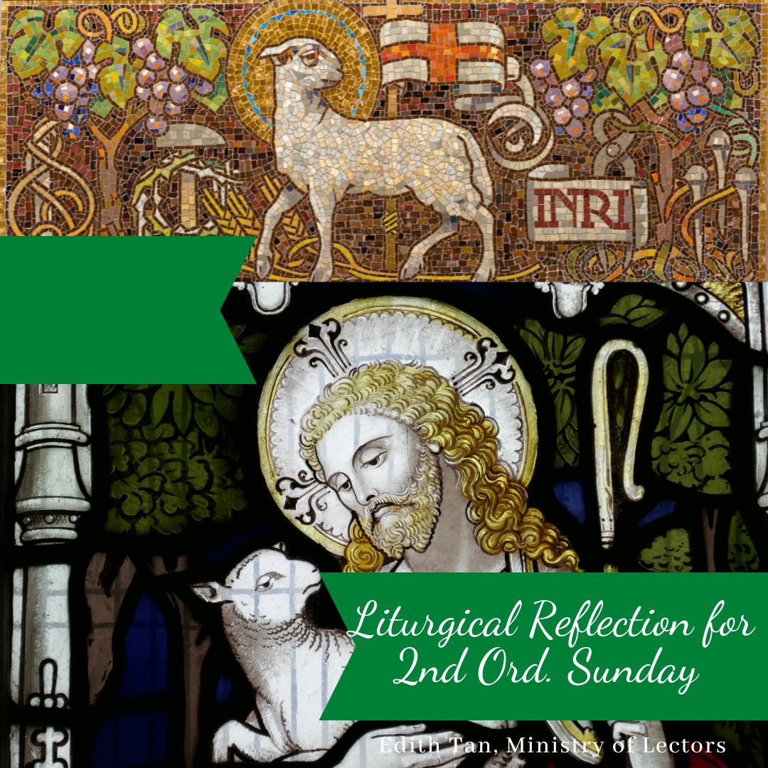 Liturgical Reflection For 16th Sunday In Ordinary Time (Year B ...