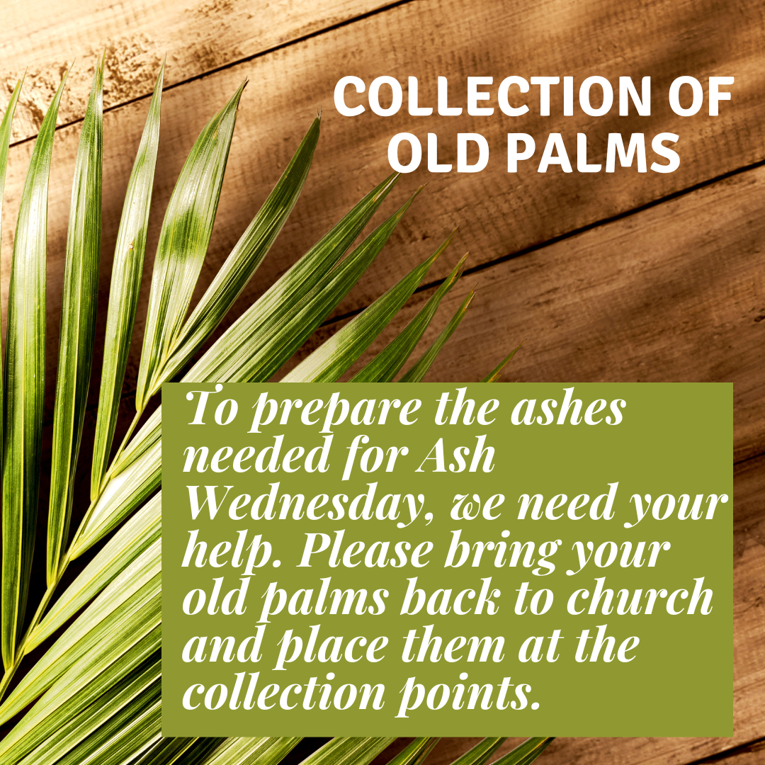 Collection of Old Palms