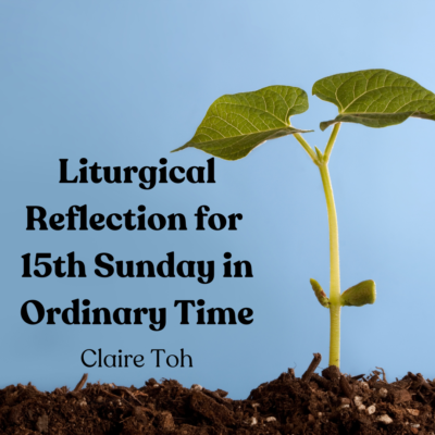 Liturgical Reflection For 15th Sunday In Ordinary Time – Church Of ...